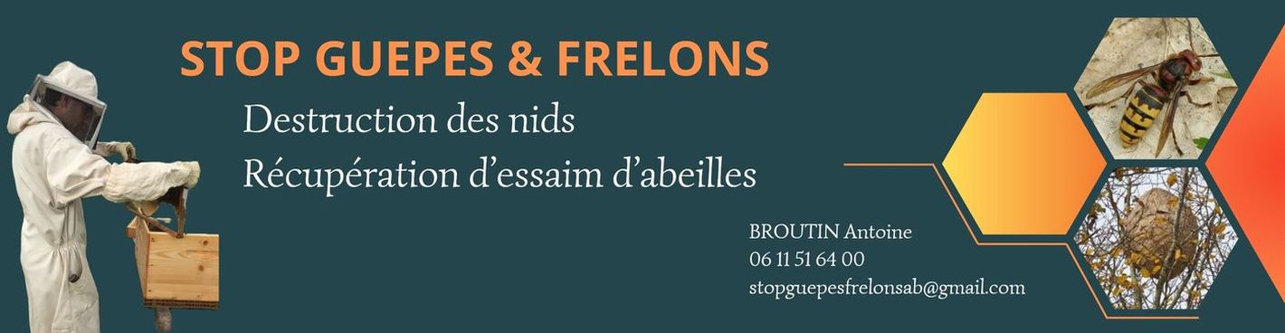 Stop guêpes frelons